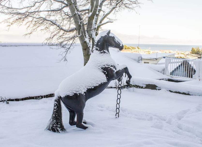 Muu Valokuva
