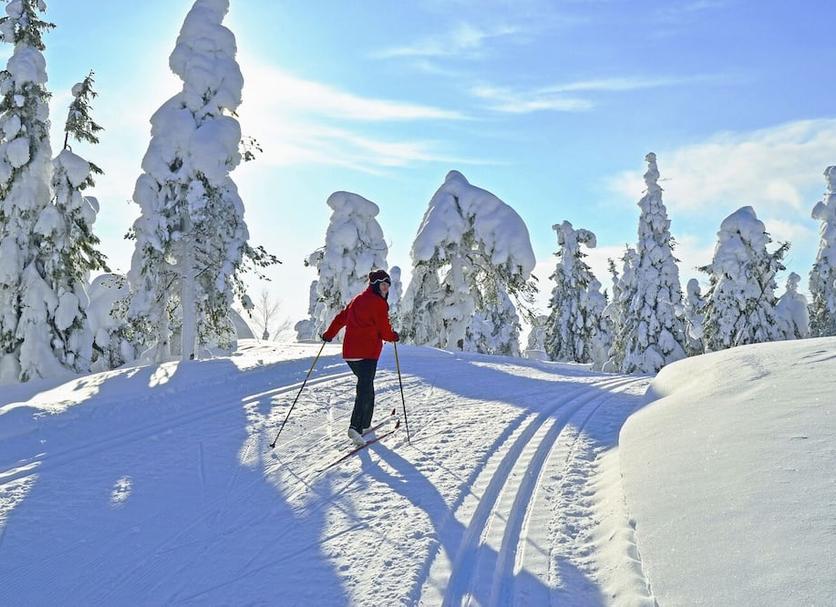 Muu Valokuva