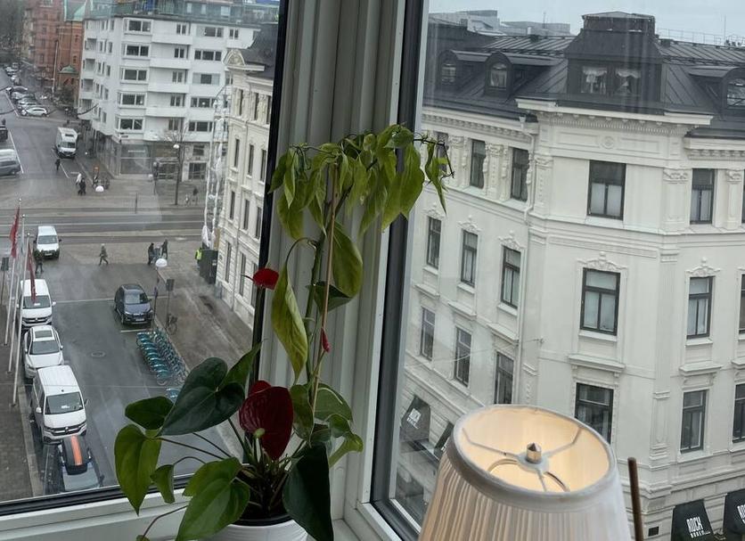 Näkymät ulkona Valokuva