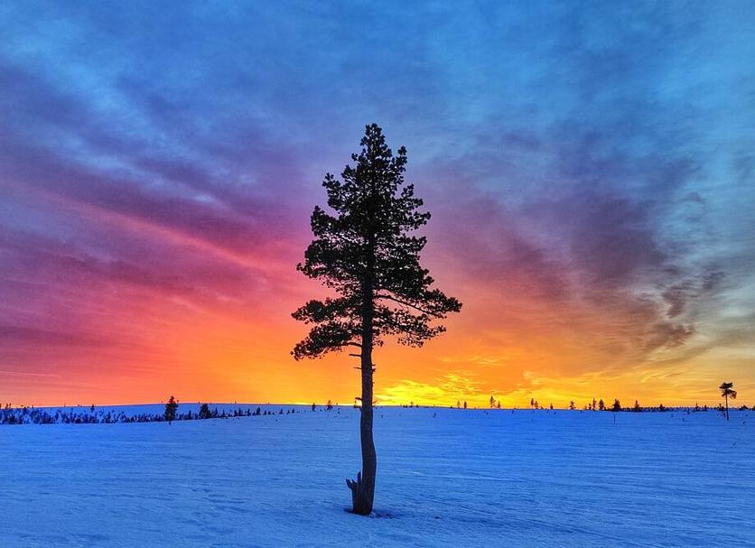 Muu Valokuva