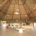Aula