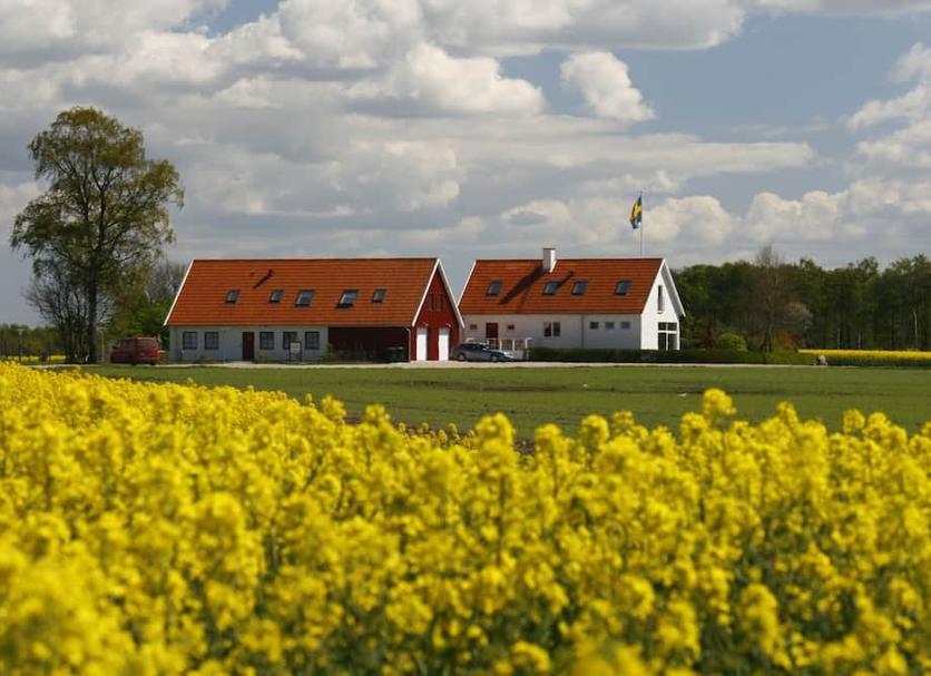 Muu Valokuva