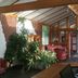Aula