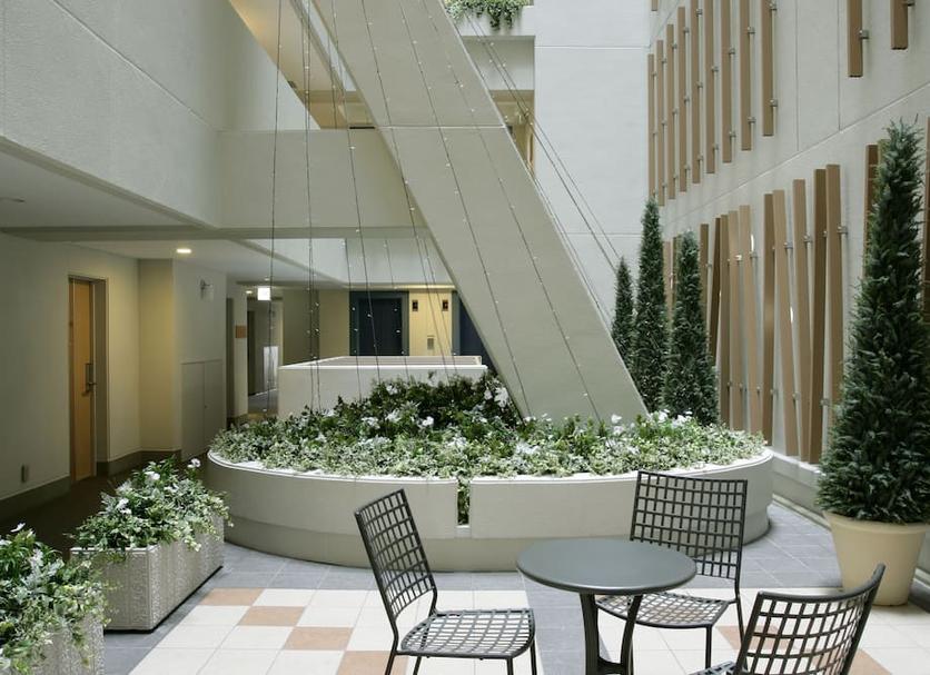 Patio Valokuva