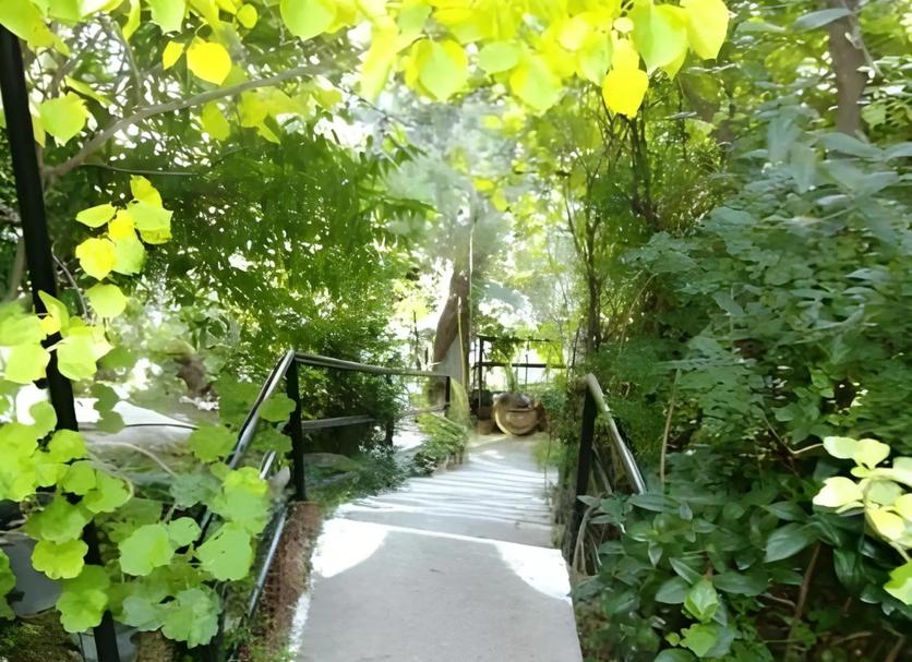 Näkymät ulkona Valokuva