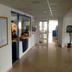 Aula