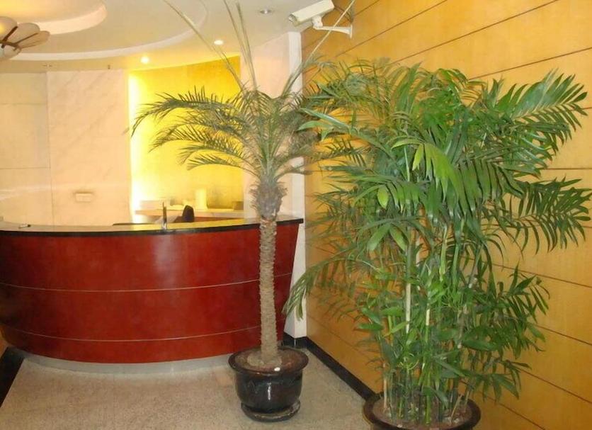 Vastaanotto Valokuva