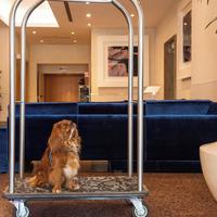 Best Western Hotel President