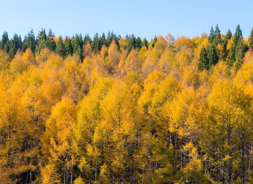 Näkymät ulkona Valokuva