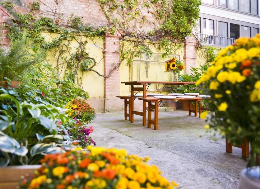 Patio Valokuva