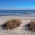 Ranta