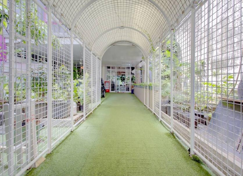 Aula Valokuva