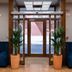 Aula