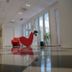 Aula