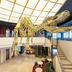Aula