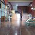 Aula