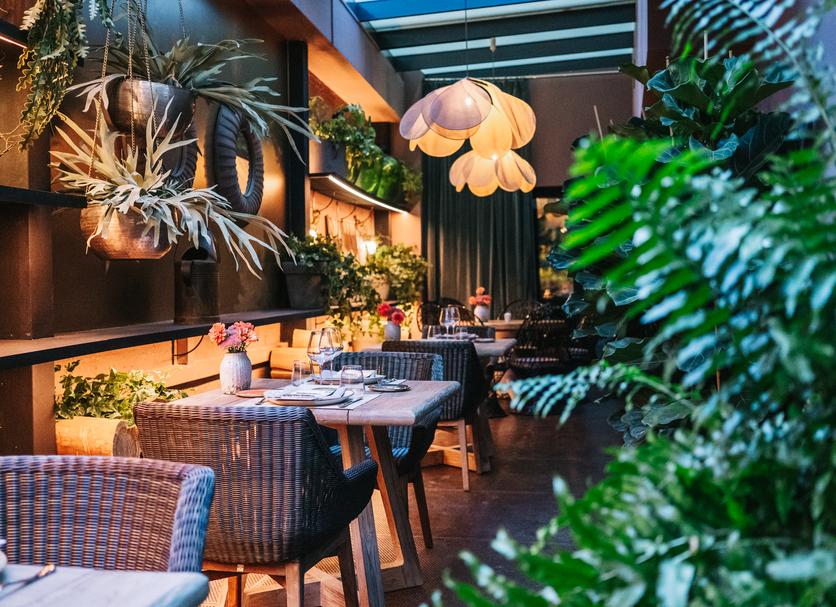 Ravintola Valokuva