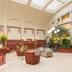 Aula