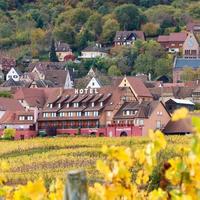Relais Du Vignoble