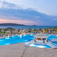 Cocos the Club Solto - Boutique Class