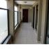 Aula